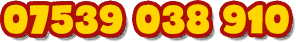 07539038910